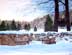 snow