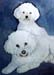 Barbara's dogs